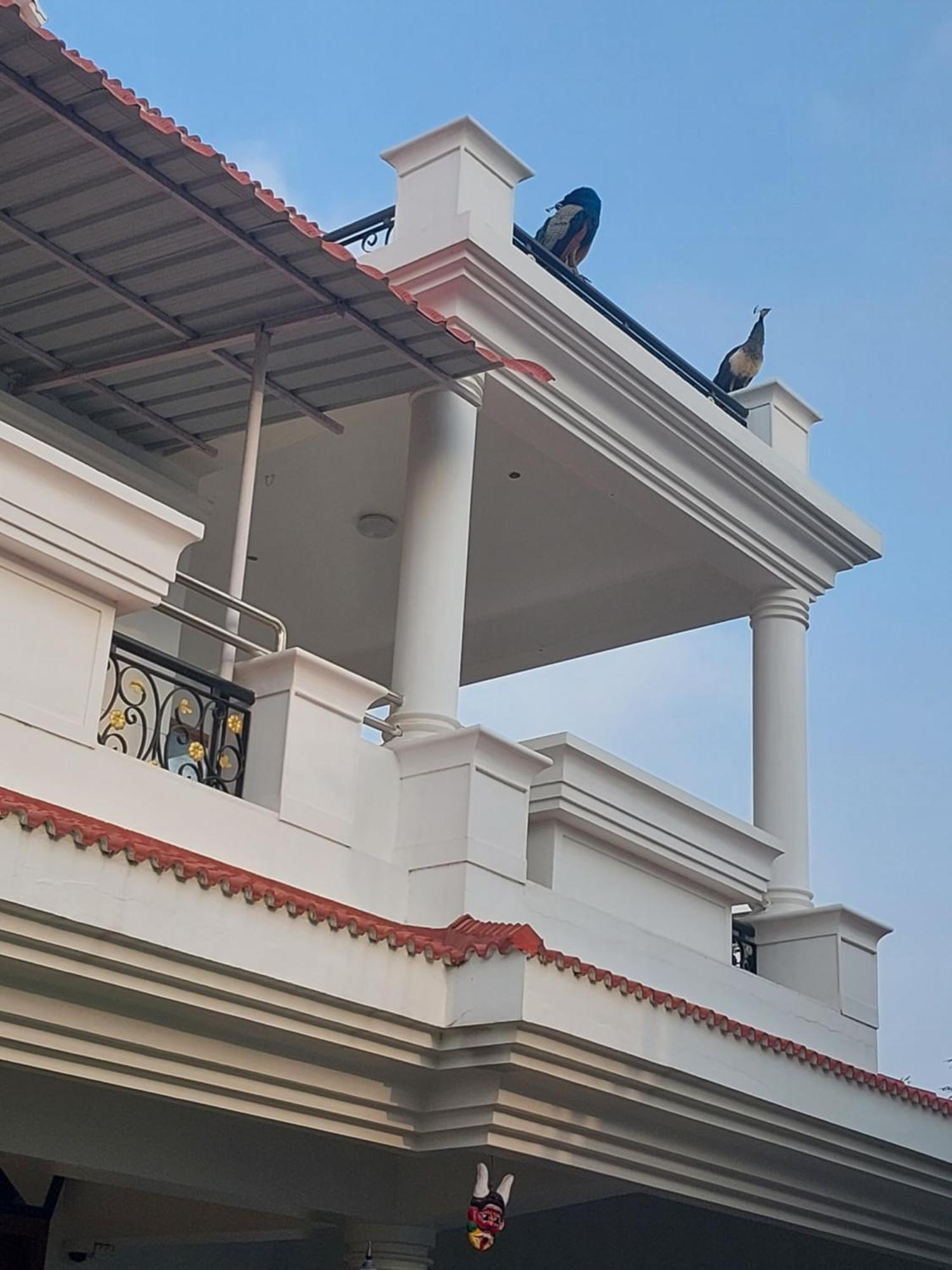 Shri Sai Baba Homestay - Eb Colony - Trichy Tiruchirappalli Exterior photo